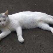 ヒメ日記 2025/10/15 14:04 投稿 ゆかり 出会い系人妻ネットワーク 春日部〜岩槻編