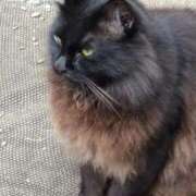 ヒメ日記 2025/10/16 14:04 投稿 ゆかり 出会い系人妻ネットワーク 春日部〜岩槻編