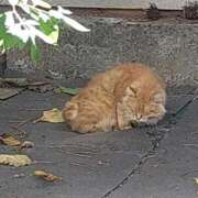 ヒメ日記 2025/11/20 10:24 投稿 ゆかり 出会い系人妻ネットワーク 春日部〜岩槻編