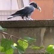 ヒメ日記 2025/11/22 10:03 投稿 ゆかり 出会い系人妻ネットワーク 春日部〜岩槻編