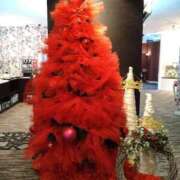 ヒメ日記 2025/12/12 15:24 投稿 ゆかり 出会い系人妻ネットワーク 春日部〜岩槻編