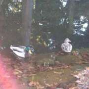 ヒメ日記 2026/01/05 10:04 投稿 ゆかり 出会い系人妻ネットワーク 春日部〜岩槻編