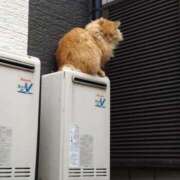 ヒメ日記 2026/02/20 14:54 投稿 ゆかり 出会い系人妻ネットワーク 春日部〜岩槻編