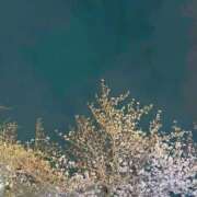 ヒメ日記 2026/04/01 09:24 投稿 ゆかり 出会い系人妻ネットワーク 春日部〜岩槻編