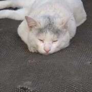 ヒメ日記 2025/10/08 20:42 投稿 ゆかり 出会い系人妻ネットワーク さいたま～大宮編