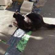 ヒメ日記 2025/11/21 10:02 投稿 ゆかり 出会い系人妻ネットワーク さいたま～大宮編