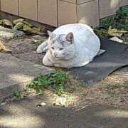 ヒメ日記 2025/12/06 10:42 投稿 ゆかり 出会い系人妻ネットワーク さいたま～大宮編