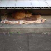 ヒメ日記 2025/12/16 14:42 投稿 ゆかり 出会い系人妻ネットワーク さいたま～大宮編