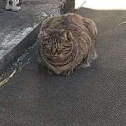 ヒメ日記 2025/12/24 22:42 投稿 ゆかり 出会い系人妻ネットワーク さいたま～大宮編