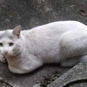 ヒメ日記 2025/12/30 09:52 投稿 ゆかり 出会い系人妻ネットワーク さいたま～大宮編