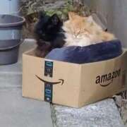 ヒメ日記 2026/01/14 09:20 投稿 ゆかり 出会い系人妻ネットワーク さいたま～大宮編