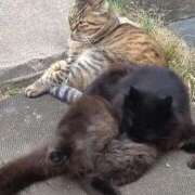 ヒメ日記 2026/01/18 12:32 投稿 ゆかり 出会い系人妻ネットワーク さいたま～大宮編