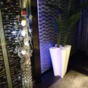 ヒメ日記 2026/03/18 13:59 投稿 ゆかり 出会い系人妻ネットワーク さいたま～大宮編