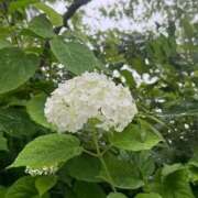 ヒメ日記 2026/03/31 12:52 投稿 ゆかり 出会い系人妻ネットワーク さいたま～大宮編