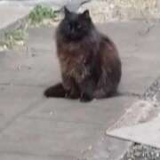 ヒメ日記 2026/04/26 22:22 投稿 ゆかり 出会い系人妻ネットワーク さいたま～大宮編