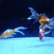 ヒメ日記 2026/05/08 13:02 投稿 ゆかり 出会い系人妻ネットワーク さいたま～大宮編