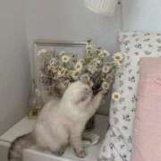 ヒメ日記 2025/12/16 20:35 投稿 ひま 東京デザインリング錦糸町店