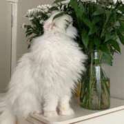 ヒメ日記 2025/12/28 20:49 投稿 ひま 東京デザインリング錦糸町店