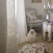 ヒメ日記 2026/01/14 23:00 投稿 ひま 東京デザインリング錦糸町店