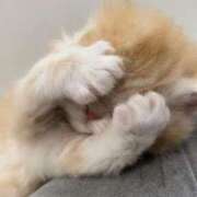 ヒメ日記 2025/11/25 14:21 投稿 ひま S級美女専門　ロイヤルリング