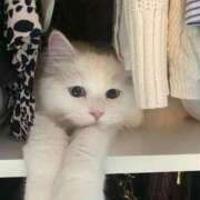 ヒメ日記 2025/12/03 10:46 投稿 ひま S級美女専門　ロイヤルリング