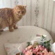 ヒメ日記 2026/01/07 01:14 投稿 ひま S級美女専門　ロイヤルリング