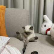 ヒメ日記 2026/02/05 16:12 投稿 ひま S級美女専門　ロイヤルリング