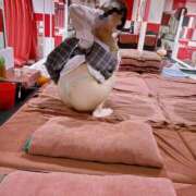 ヒメ日記 2025/10/15 20:55 投稿 ひとみ【ウブでドMな美少女】 ポニーテール和歌山店