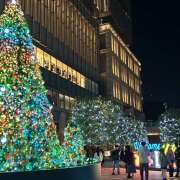 ヒメ日記 2025/11/15 23:20 投稿 みき banana