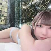 ヒメ日記 2026/02/18 12:16 投稿 ぷに・SP アニバーサリー