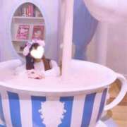 ヒメ日記 2025/09/25 23:45 投稿 きなこ ふぁーすと・きす