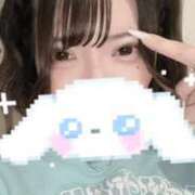 ヒメ日記 2025/11/20 23:55 投稿 きなこ ふぁーすと・きす