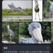 ヒメ日記 2026/02/15 07:02 投稿 きなこ ふぁーすと・きす