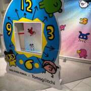 きなこ おはようございます☀️ ふぁーすと・きす