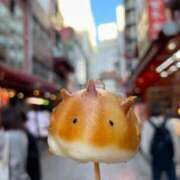 ヒメ日記 2026/04/15 20:01 投稿 きなこ ふぁーすと・きす