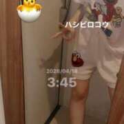 ヒメ日記 2026/04/18 03:48 投稿 きなこ ふぁーすと・きす