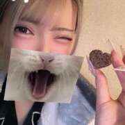 ヒメ日記 2026/04/23 10:18 投稿 きなこ ふぁーすと・きす