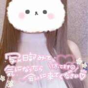 ヒメ日記 2026/04/24 05:45 投稿 きなこ ふぁーすと・きす