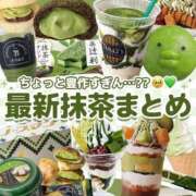 ヒメ日記 2026/04/28 08:46 投稿 きなこ ふぁーすと・きす