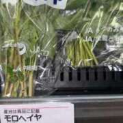 ヒメ日記 2026/10/01 20:10 投稿 きなこ ふぁーすと・きす