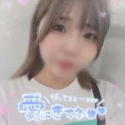 ヒメ日記 2025/10/16 18:24 投稿 とわ 桃李（とうり）