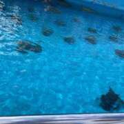 ヒメ日記 2025/10/02 08:53 投稿 水島 さつき La elf（ラ・エルフ）