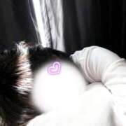 ヒメ日記 2026/02/12 12:42 投稿 ぱいん 大阪はまちゃん 谷九店