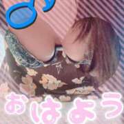 ヒメ日記 2025/09/27 09:38 投稿 なちか 木更津人妻花壇