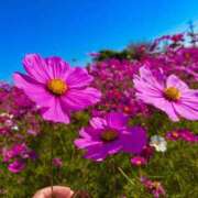 ヒメ日記 2025/11/06 20:47 投稿 らん 岐阜岐南各務原ちゃんこ