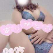 ヒメ日記 2025/12/31 23:07 投稿 らん 岐阜岐南各務原ちゃんこ