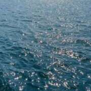 ヒメ日記 2026/03/11 18:47 投稿 らん 岐阜岐南各務原ちゃんこ