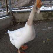 ヒメ日記 2025/12/09 20:09 投稿 しおり カクテル(岡山)