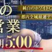 ヒメ日記 2025/11/12 15:00 投稿 るい ウルトラホワイト