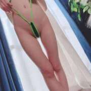 ヒメ日記 2026/03/11 08:20 投稿 るい ウルトラホワイト